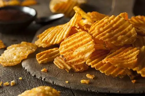 Itlar SunChips yeyishi mumkinmi? Veterinar tomonidan ko'rib chiqilgan faktlar & FAQ