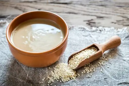 Kan honde Tahini eet? Vet-Hersiene Voorsorgmaatreëls & Voordele