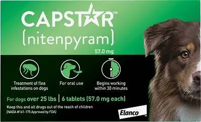 Capstar Flea oral behandling for hunder