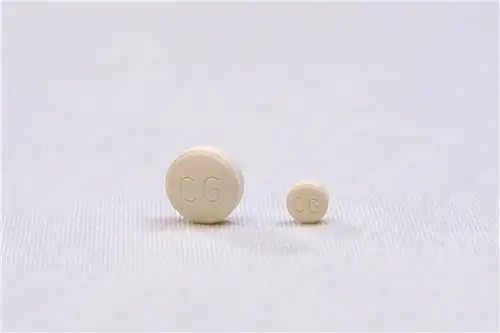 itlər üçün capstar tablet