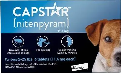 Tratamiento oral contra pulgas Capstar para perros_blue