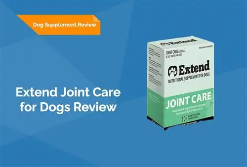 Extend Joint Care for Dogs Supplement (2023 Vet Review)