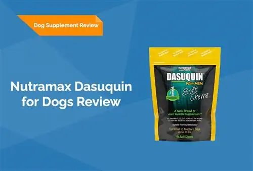 Nutramax Dasuquin pour chiens examen 2023 (examen vétérinaire)