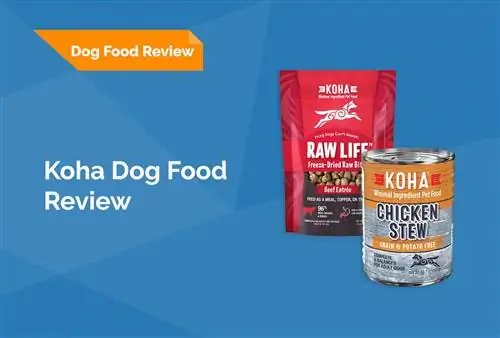 Koha Dog Food Review 2023. Հիշում է, կողմ & Դեմ