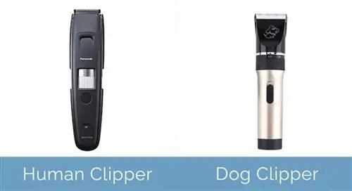 binadamu clipper dhidi ya mbwa clipper upande kwa upande