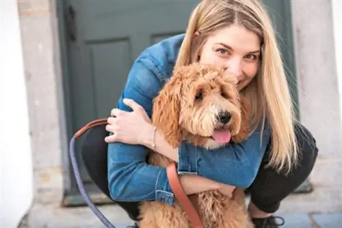 Labradoodle hond en vrouw buiten op balkon