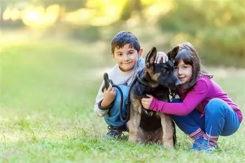 ikizler-tutma-onların-evcil hayvan-Alman-çoban-köpek yavrusu_Adrian-Vaju-Photogaphy_shutterstock