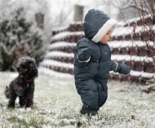 Bambino che cammina nella neve con un barboncino