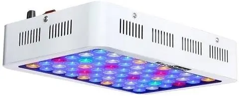 Wattshine 180W LED Mərcan İşığı