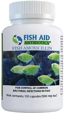 Fish Aid -antibiootit Amoksisilliini