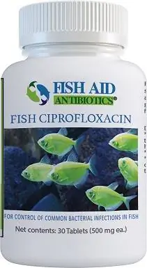 Fish Aid Antibiotika Ciprofloxacin