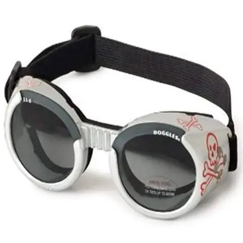 Doggles DGILXS14 ILS schedelframe