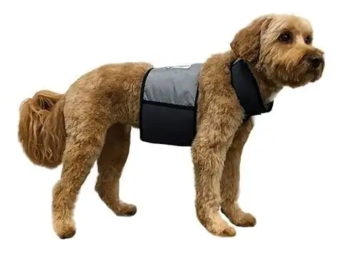 CoolerDog koelvest voor honden