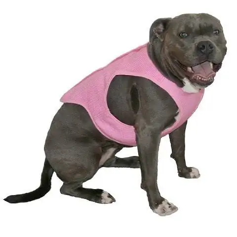 PupPal Pet Cooling Vest