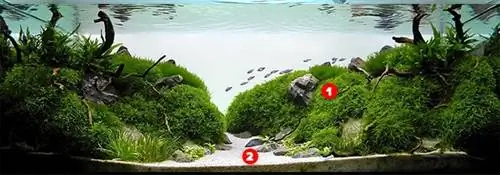 Aquascaping débutant