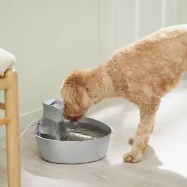 Fontana per cani e gatti a triangolo in acciaio inossidabile Frisco