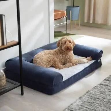 Frisco Faux Filt Ortopedisk Sofa Bolster Hundeseng med avtagbart deksel