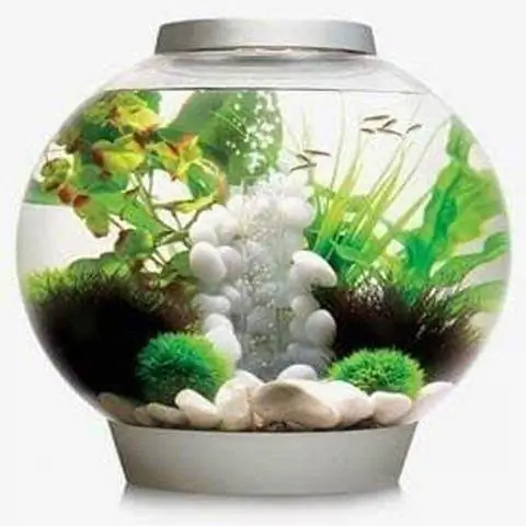 biOrb Classic 30 Aquarium ከ MCR ጋር