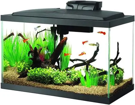 Aqueon Aquarium Starter Kit