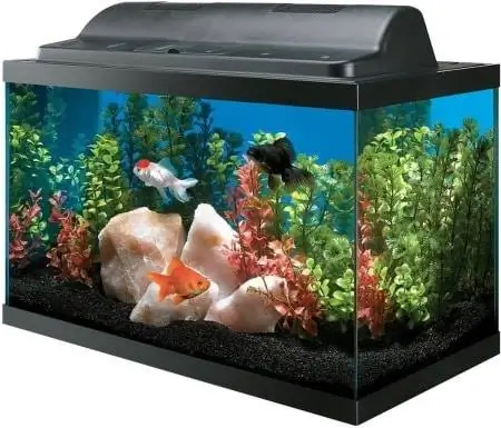 Tag nrho cov iav Aquarium Tank thiab Eco Hood Combo