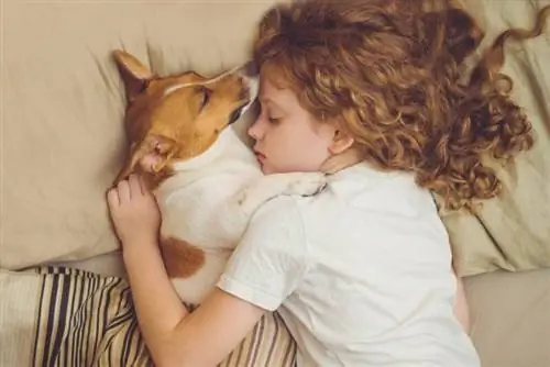 Menina dormindo com cachorro na cama