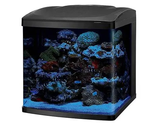 Coralife LED Biocube akvariumo LED