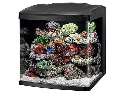 Coralife Biocube 14 Aquarium Review 2023: Je to dobrá hodnota?