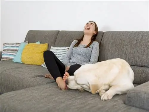 un perro lamiendo los pies de una mujer