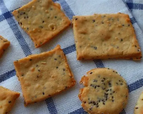 biscuits craquelins aux graines