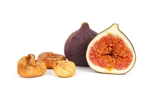 fig