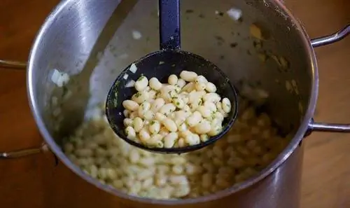 Kacang Pinggang