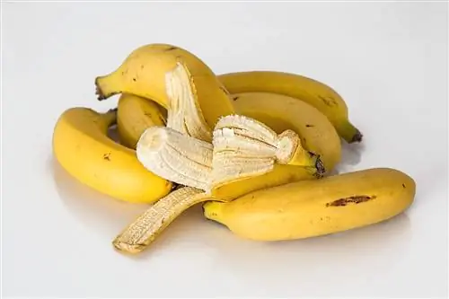 banan