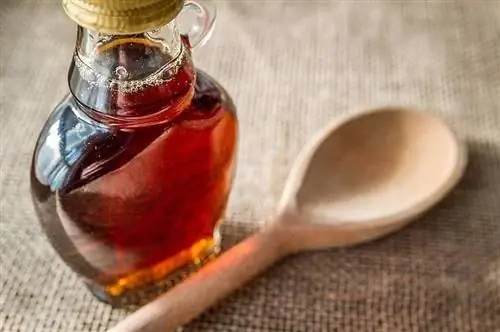 Je, Mbwa Wanaweza Kula Sharubati ya Maple? Je, Maple Syrup ni Mbaya kwa Mbwa?