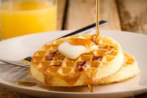 Je, Mbwa Wanaweza Kula Waffles? Sayansi Inasema Nini