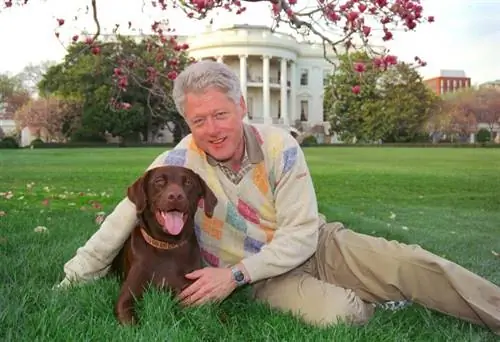 De hond van president Clinton, maatje