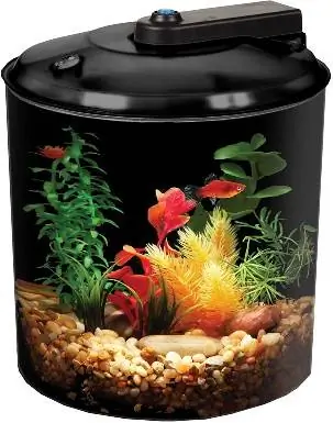 API Betta Kit 360 Degree Fish Tank