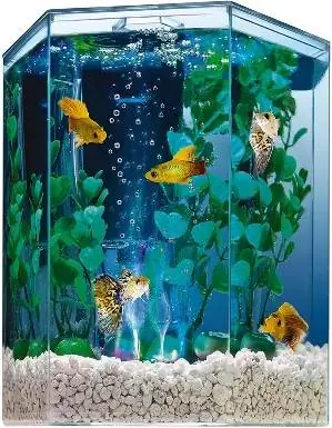 Tetra 29040 Hexagon Aquarium Kit