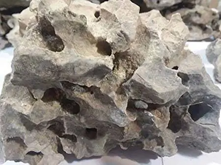 Texas Holey Rock Honeycomb Vápenec