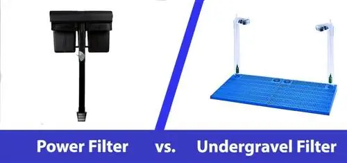 Bộ lọc Undergravel so với Bộ lọc Nguồn: Cái nào Tốt hơn?