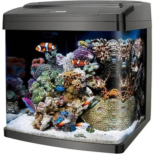 Coralife Biocube 29