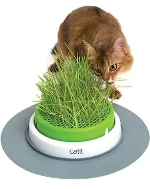 Catit Senses 2.0 Cat Grass Cancer with Seeds