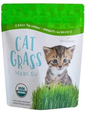 Kätevät Pantry Cat Grass Siemenet