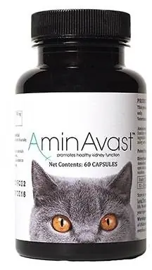 AminAvast Kidney Support Cat Supplement