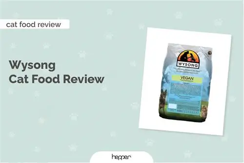 Wysong Cat Food Review 2023: Återkallelser, fördelar & Nackdelar