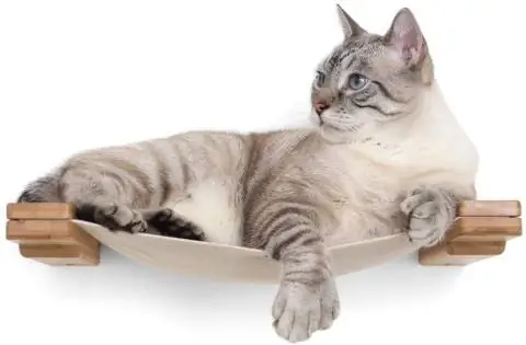 CatastrofiCreations Cat Lounge hammock دیواری