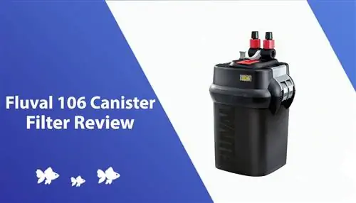 Fluval 106 Canister Filter Review & სპეციფიკაციები 2023: დადებითი, უარყოფითი მხარეები & ვერდიქტი