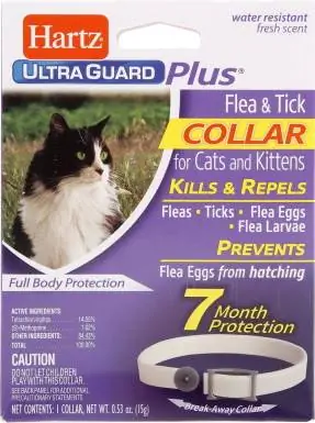 Hartz UltraGuard Flea & Tick Collar_Chewy