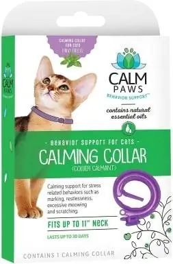 Calm Paws kalung kucing yang menenangkan_Kenyal