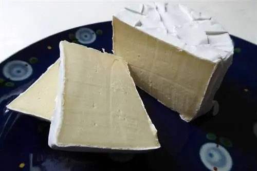 fromage à pâte molle sur assiette camembert