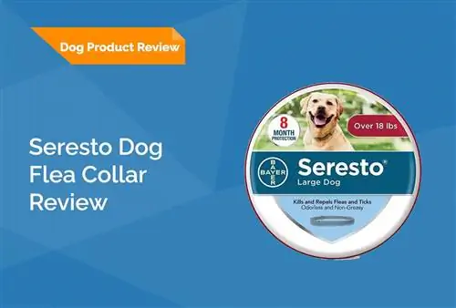 Bayer Seresto Flea and Tick Collar for Dogs Review 2023: Mga Pros, Cons, & Verdict